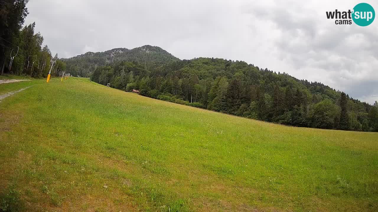 Comprensorio sciistico Kranjska Gora | Brsnina