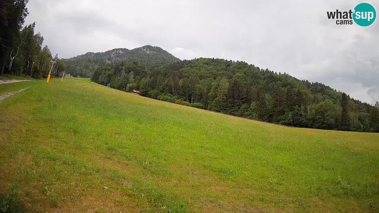Ski Kranjska Gora | Brsnina