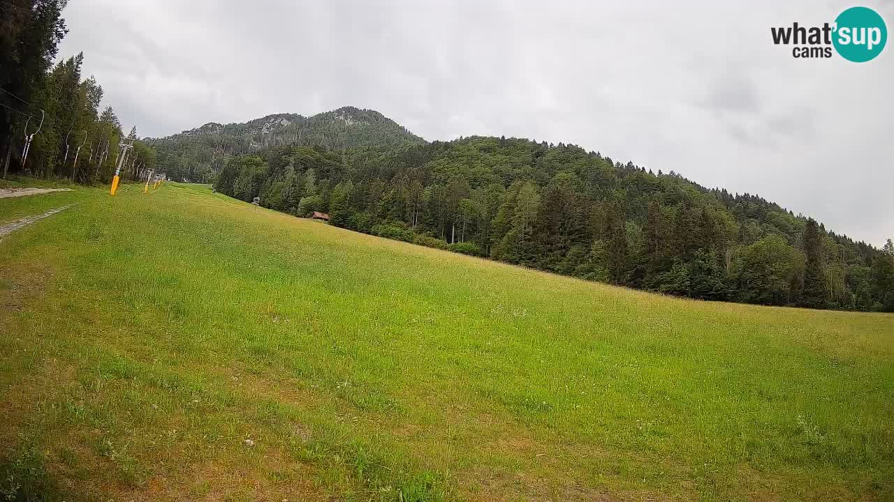 Ski Kranjska Gora | Brsnina
