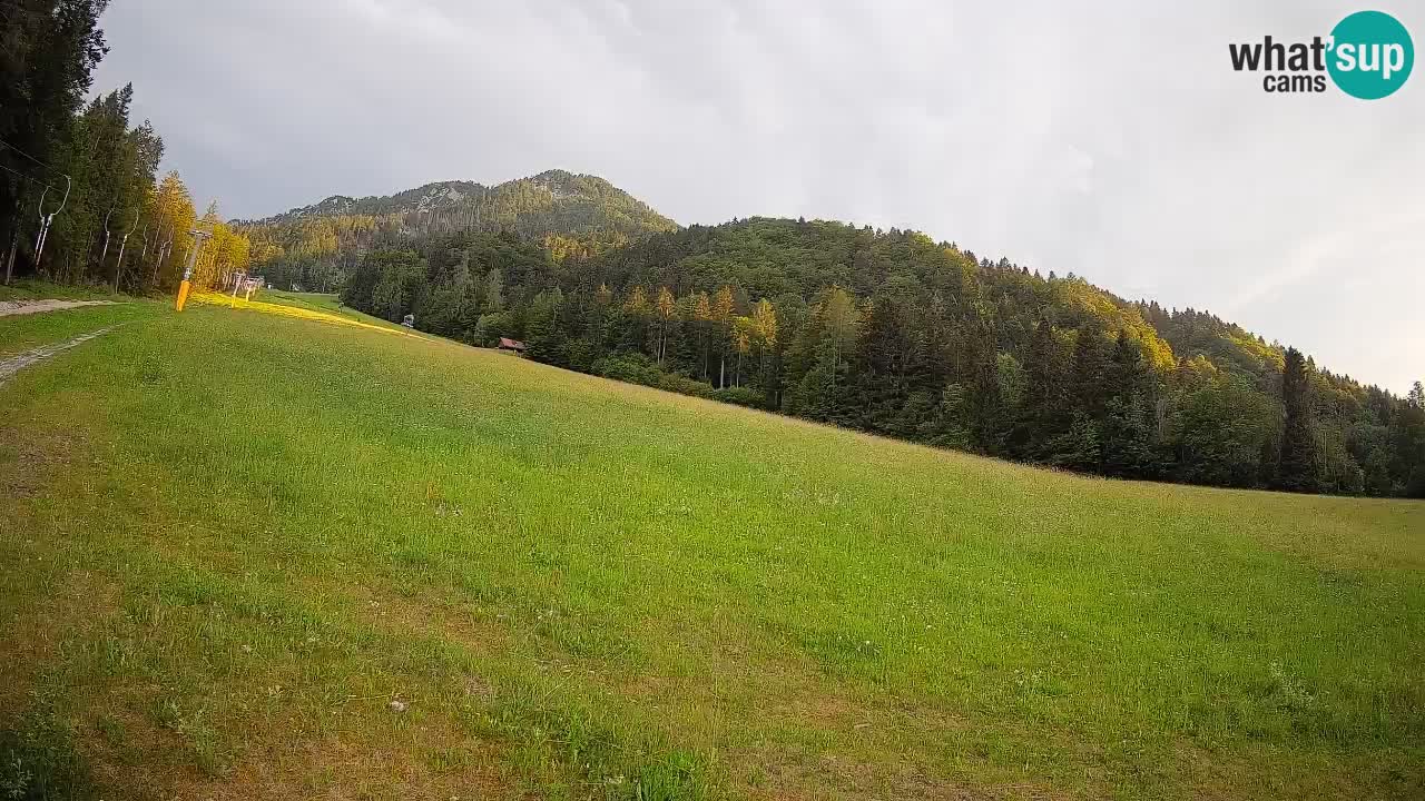 Ski Kranjska Gora | Brsnina