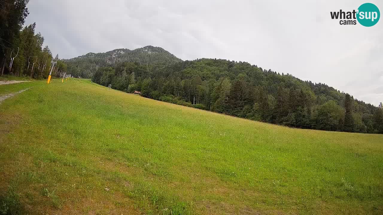 Ski Kranjska Gora | Brsnina