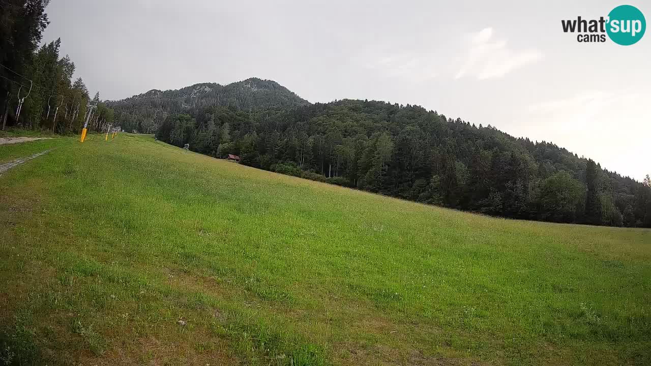 Comprensorio sciistico Kranjska Gora | Brsnina