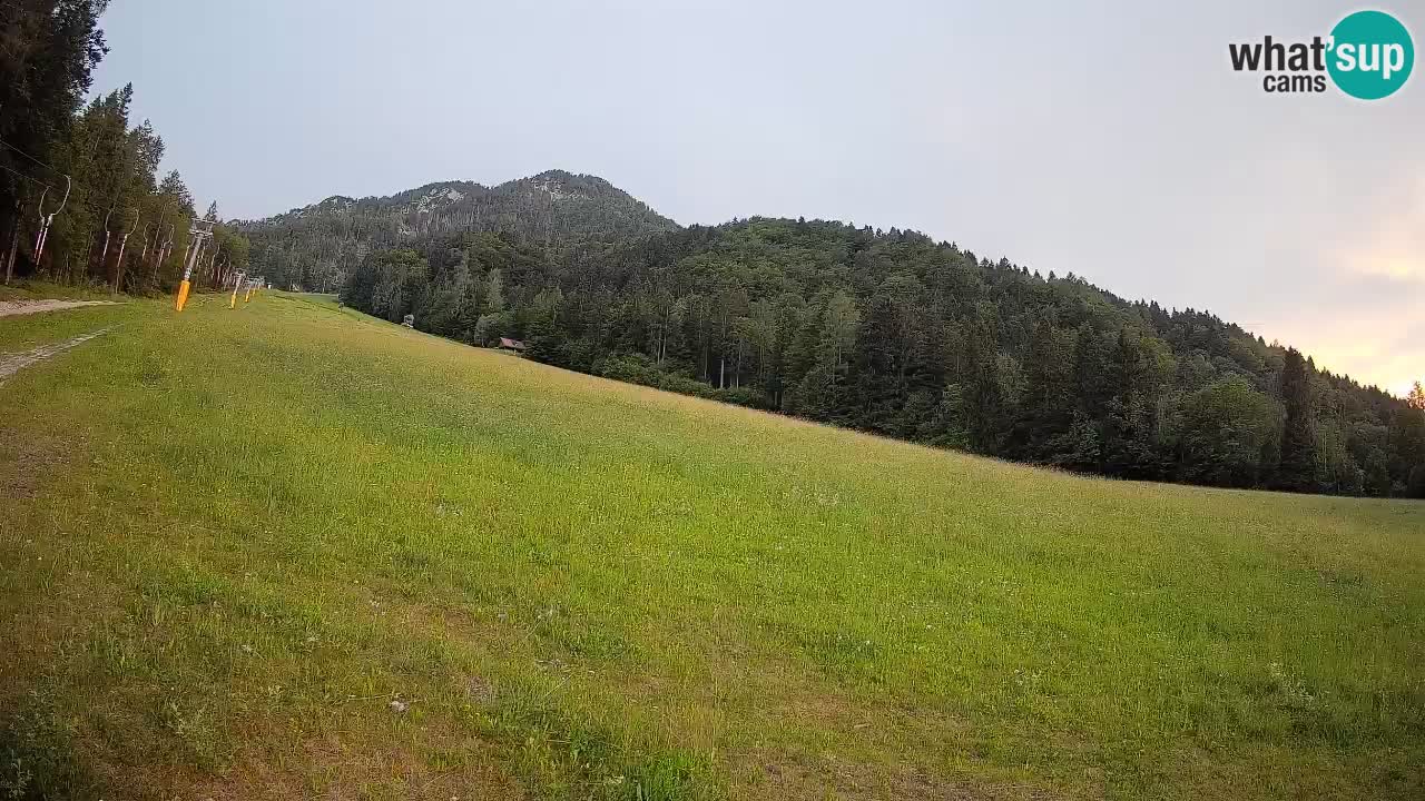 Comprensorio sciistico Kranjska Gora | Brsnina