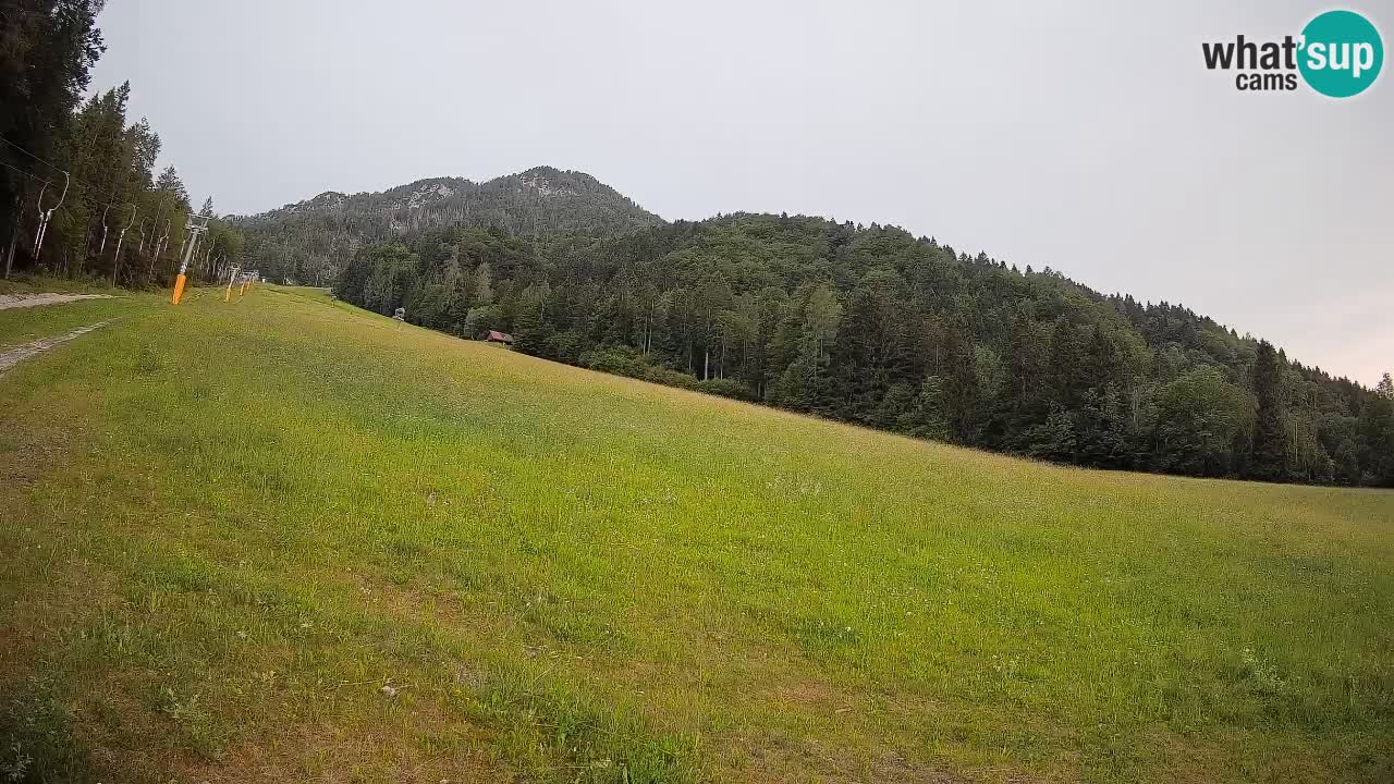 Ski Kranjska Gora | Brsnina