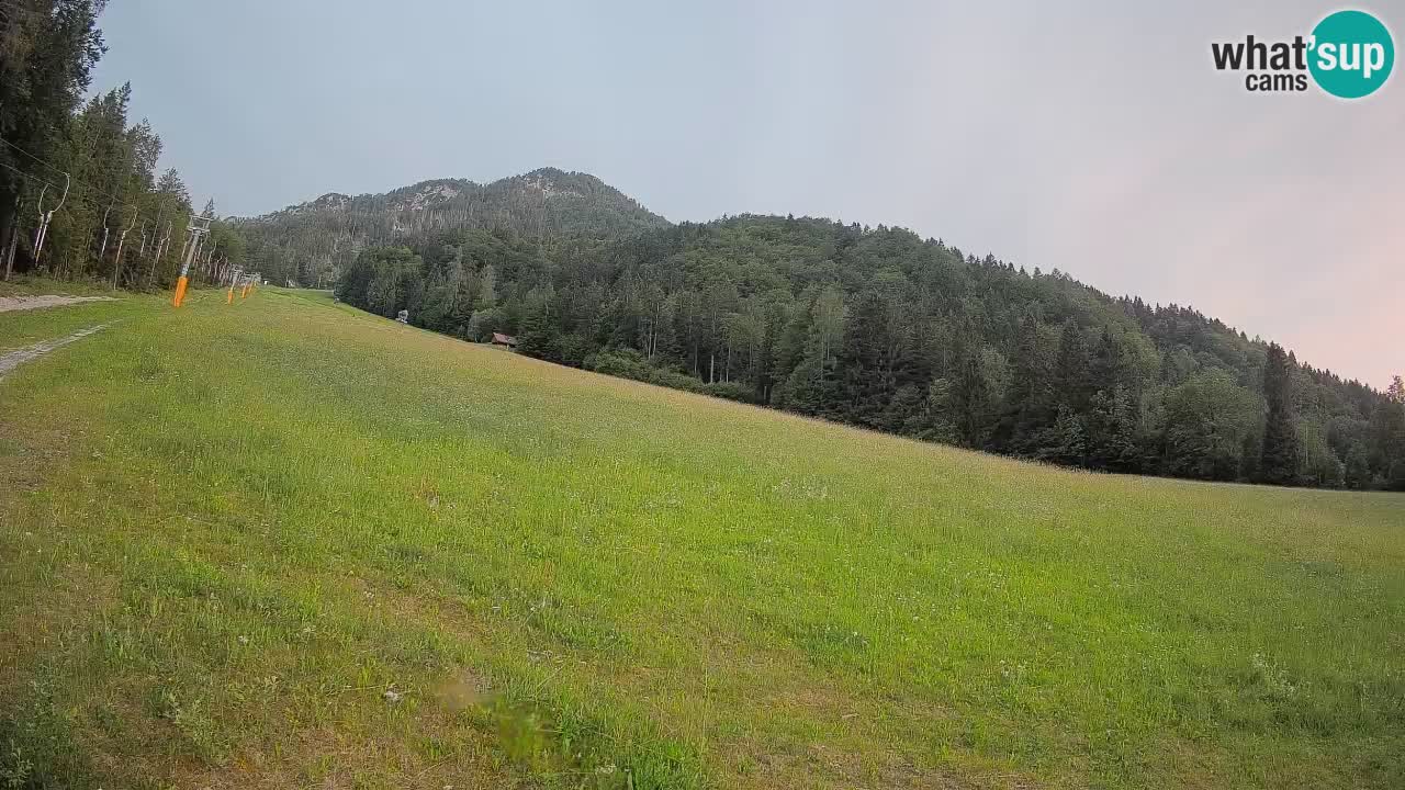 Esquí Kranjska Gora | Brsnina