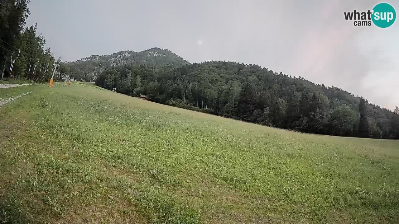 RTC Skigebiet Kranjska Gora | Brsnina