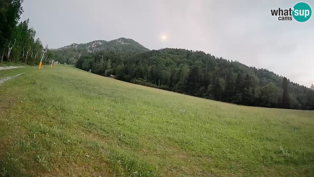 RTC Kranjska Gora | Brsnina