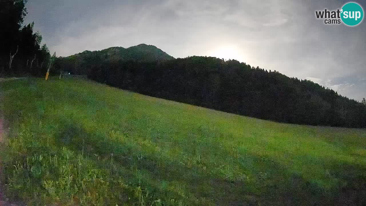 Kranjska Gora Station de ski | Brsnina