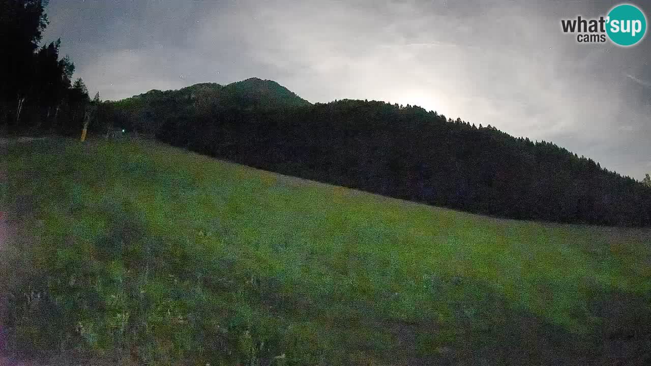 RTC Skigebiet Kranjska Gora | Brsnina