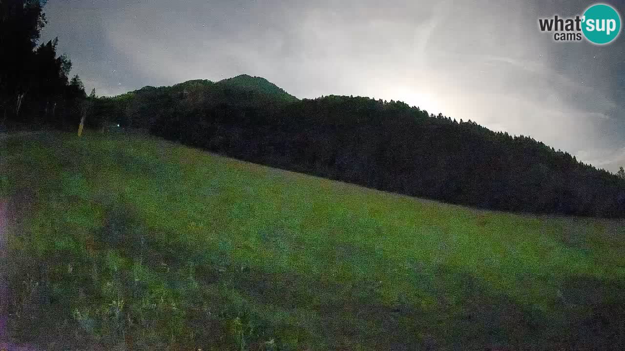 Kranjska Gora SKIJANJE | Brsnina