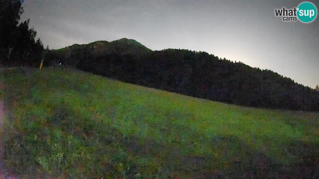 Esquí Kranjska Gora | Brsnina