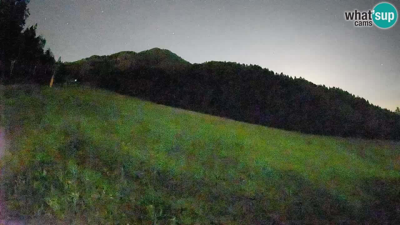 Ski Kranjska Gora | Brsnina