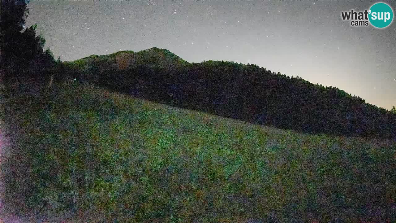 Kranjska Gora SKIJANJE | Brsnina