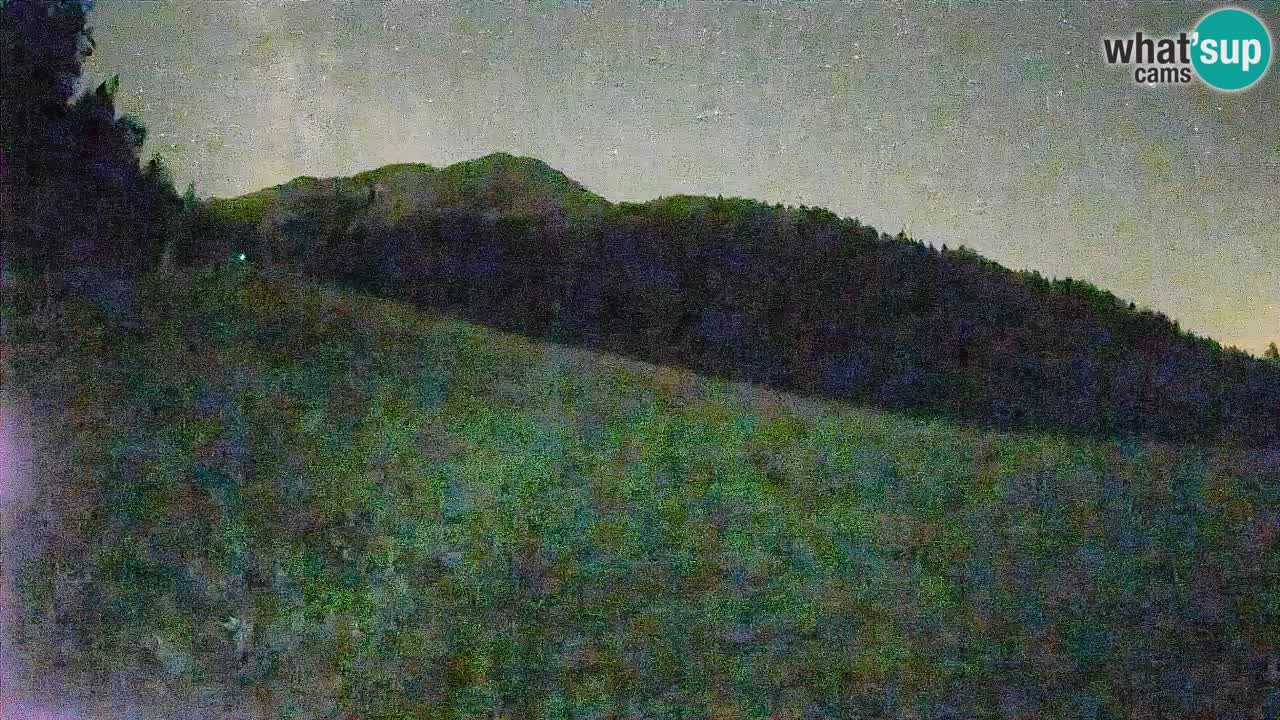 RTC Kranjska Gora | Brsnina