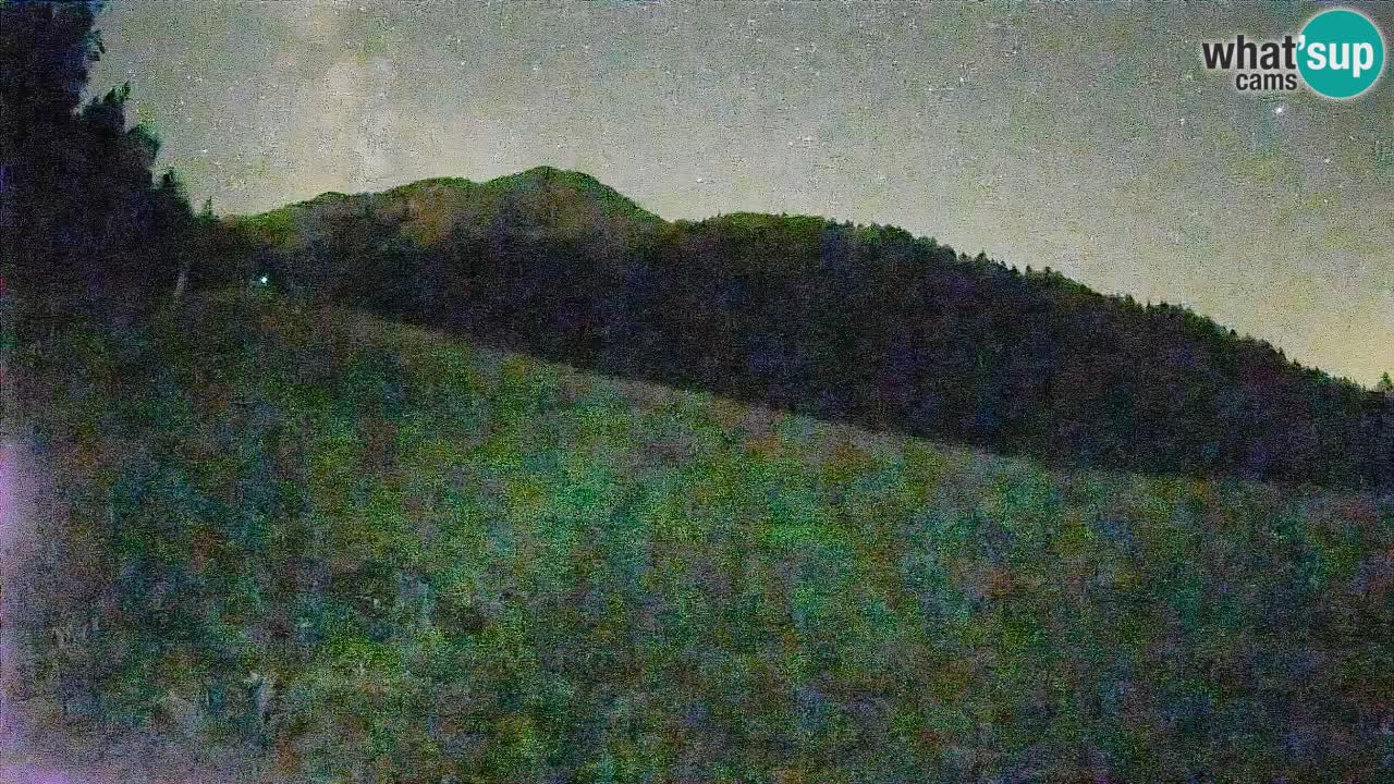 Esquí Kranjska Gora | Brsnina