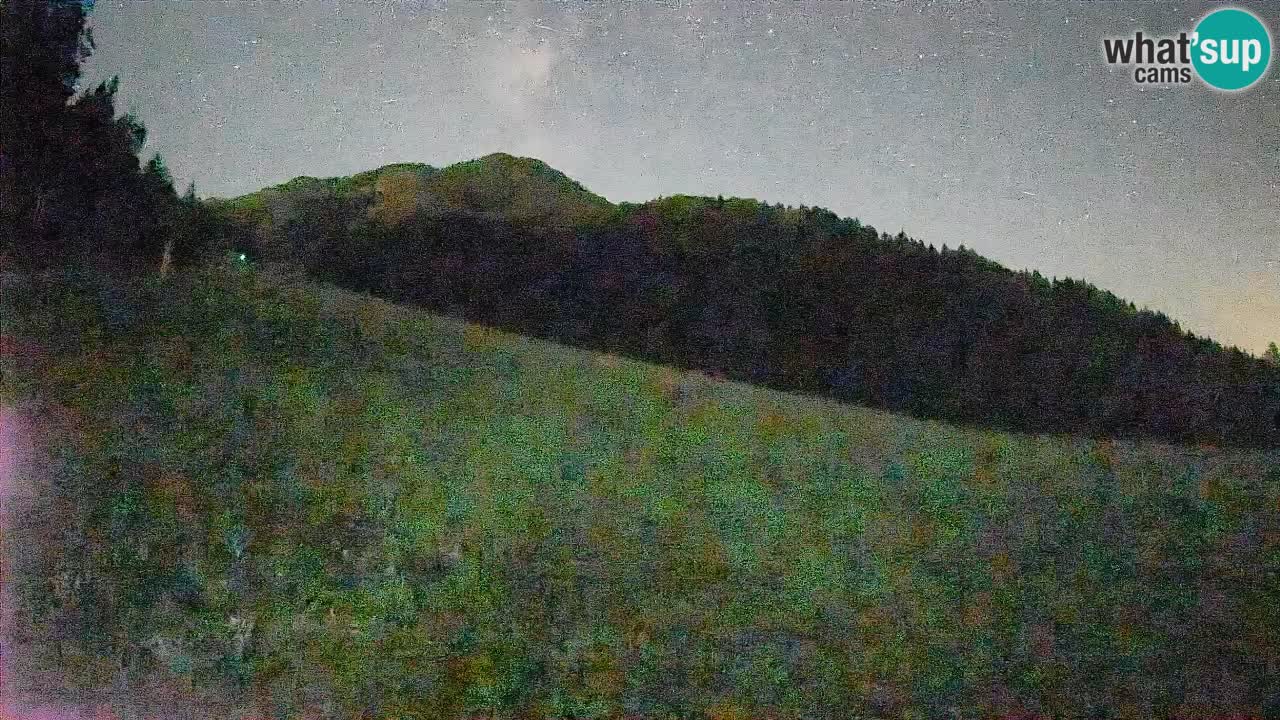 Ski Kranjska Gora | Brsnina