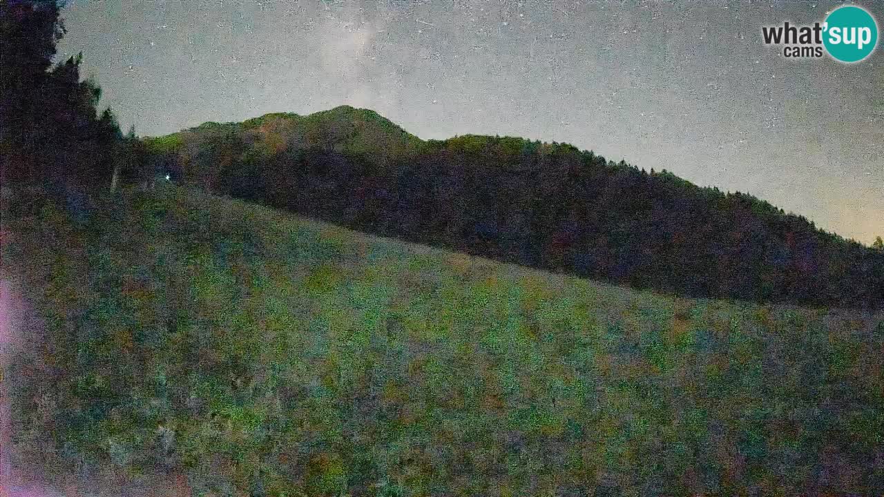 RTC Skigebiet Kranjska Gora | Brsnina