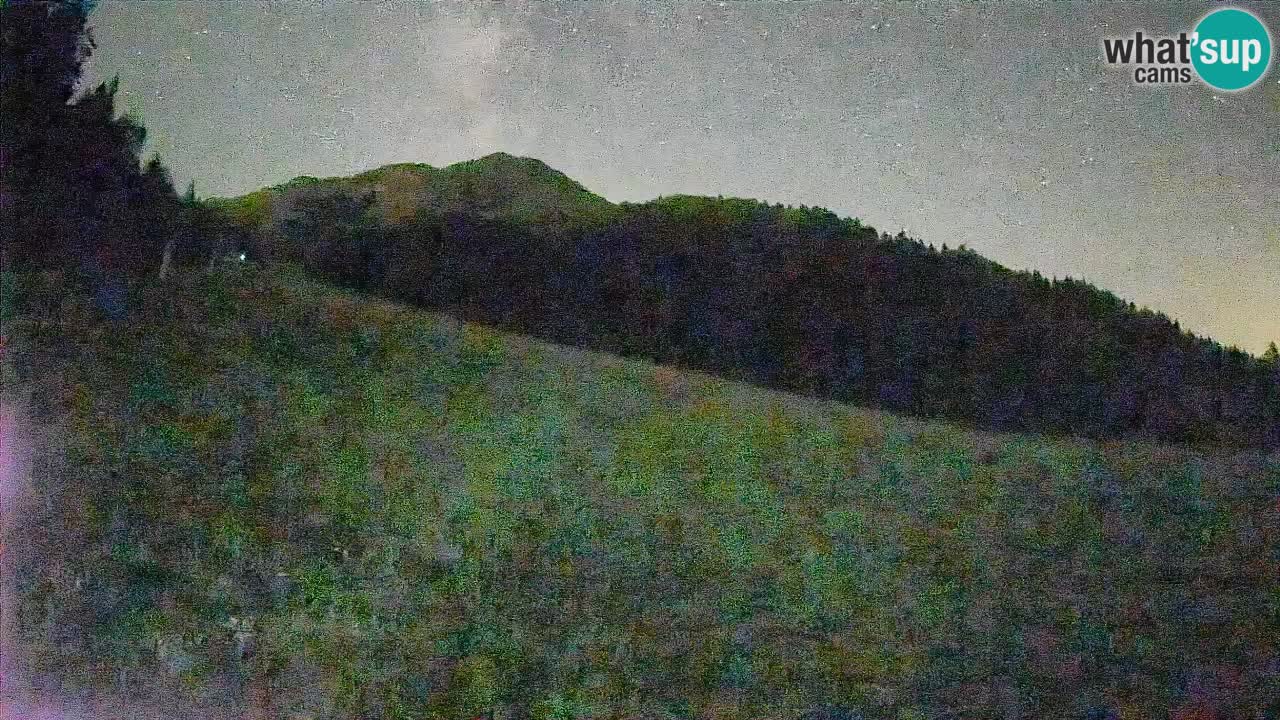 Comprensorio sciistico Kranjska Gora | Brsnina