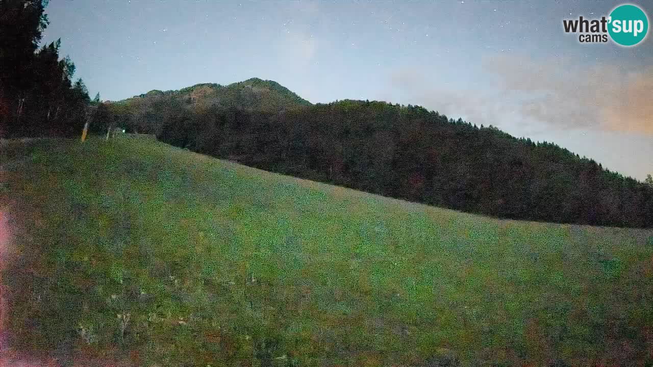Kranjska Gora Station de ski | Brsnina