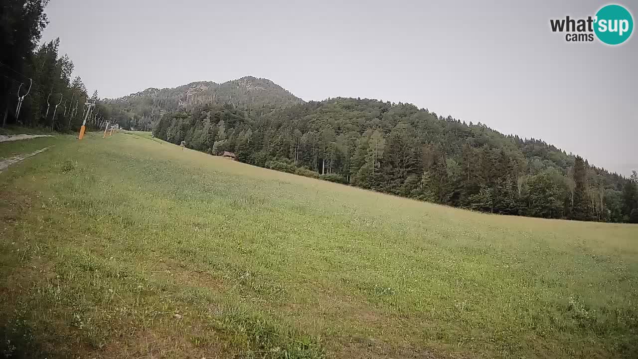 RTC Skigebiet Kranjska Gora | Brsnina