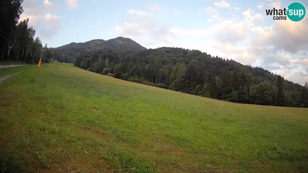 Esquí Kranjska Gora | Brsnina