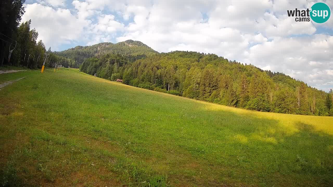 Comprensorio sciistico Kranjska Gora | Brsnina