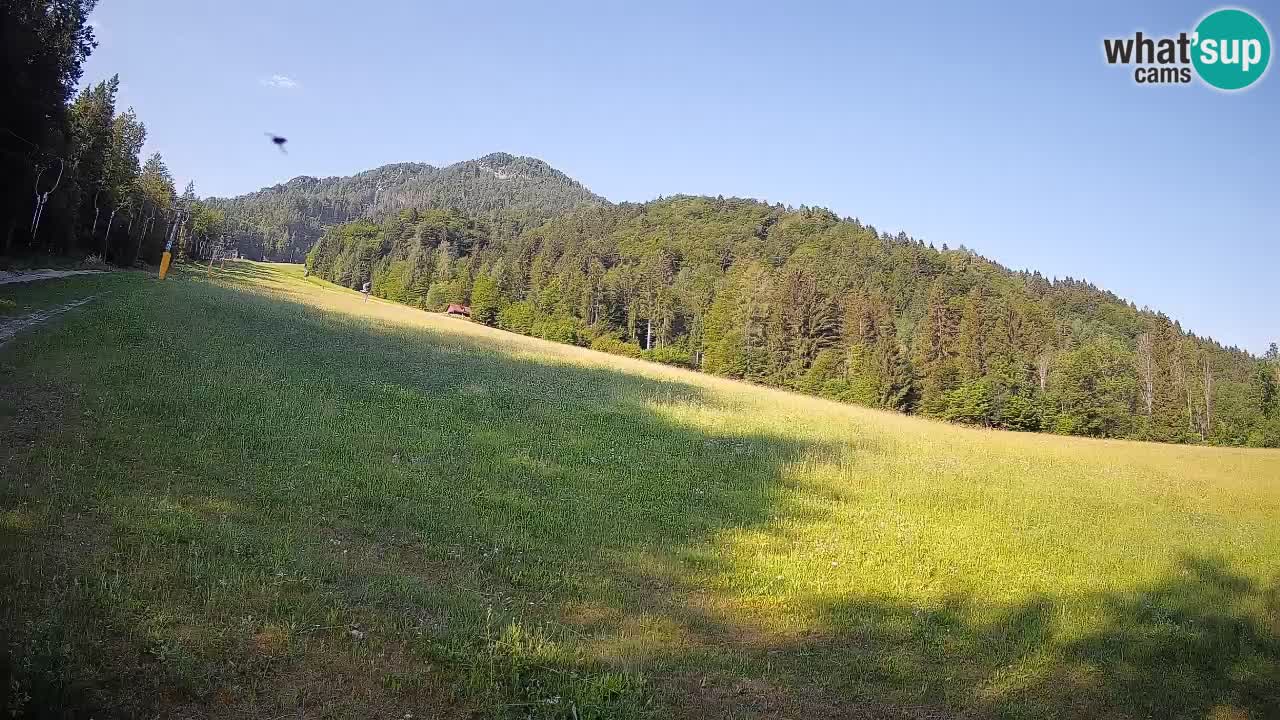 Comprensorio sciistico Kranjska Gora | Brsnina