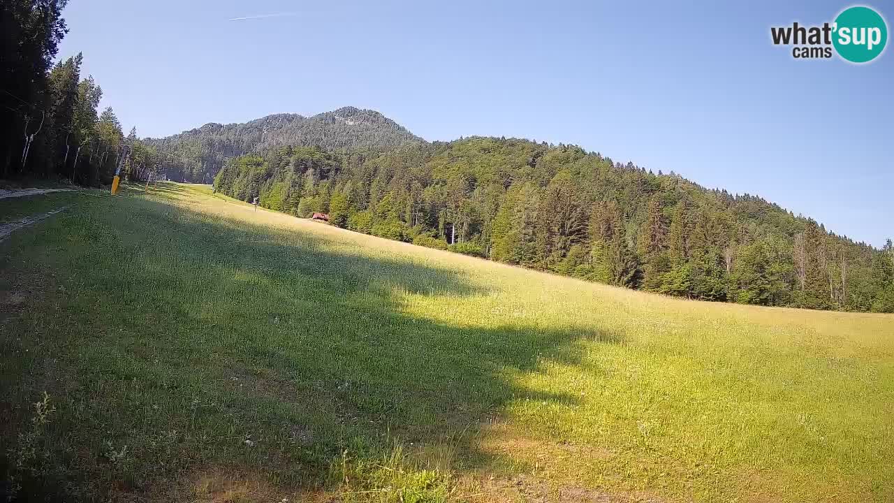 Ski Kranjska Gora | Brsnina
