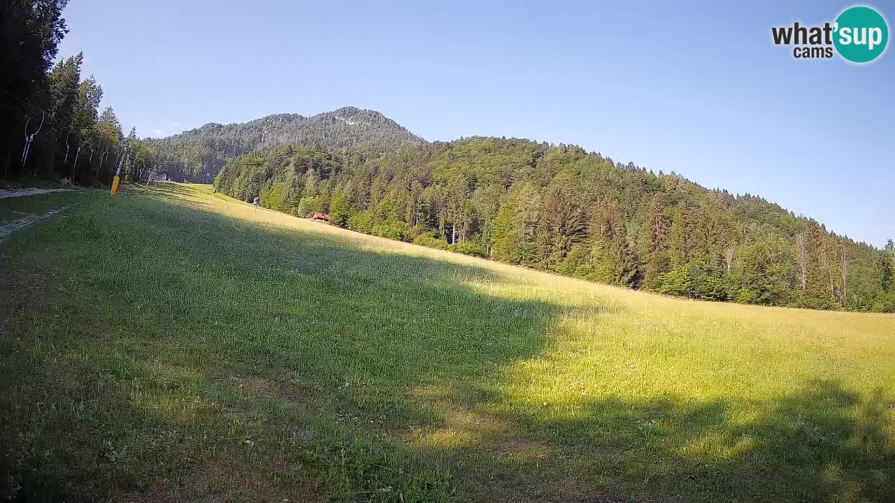 RTC Kranjska Gora | Brsnina