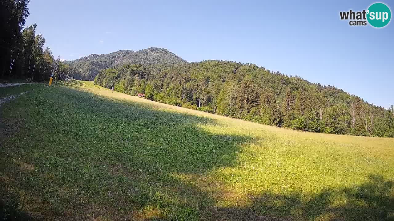 Kranjska Gora Station de ski | Brsnina