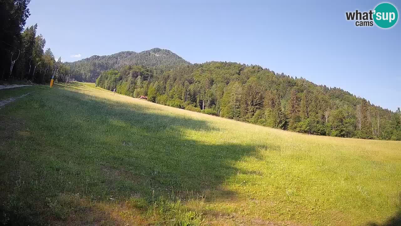 Comprensorio sciistico Kranjska Gora | Brsnina
