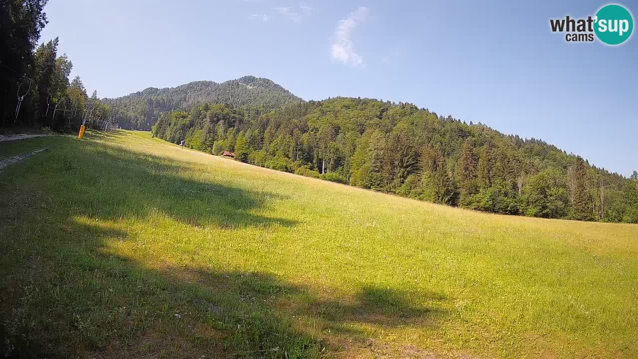 Kranjska Gora SKIJANJE | Brsnina