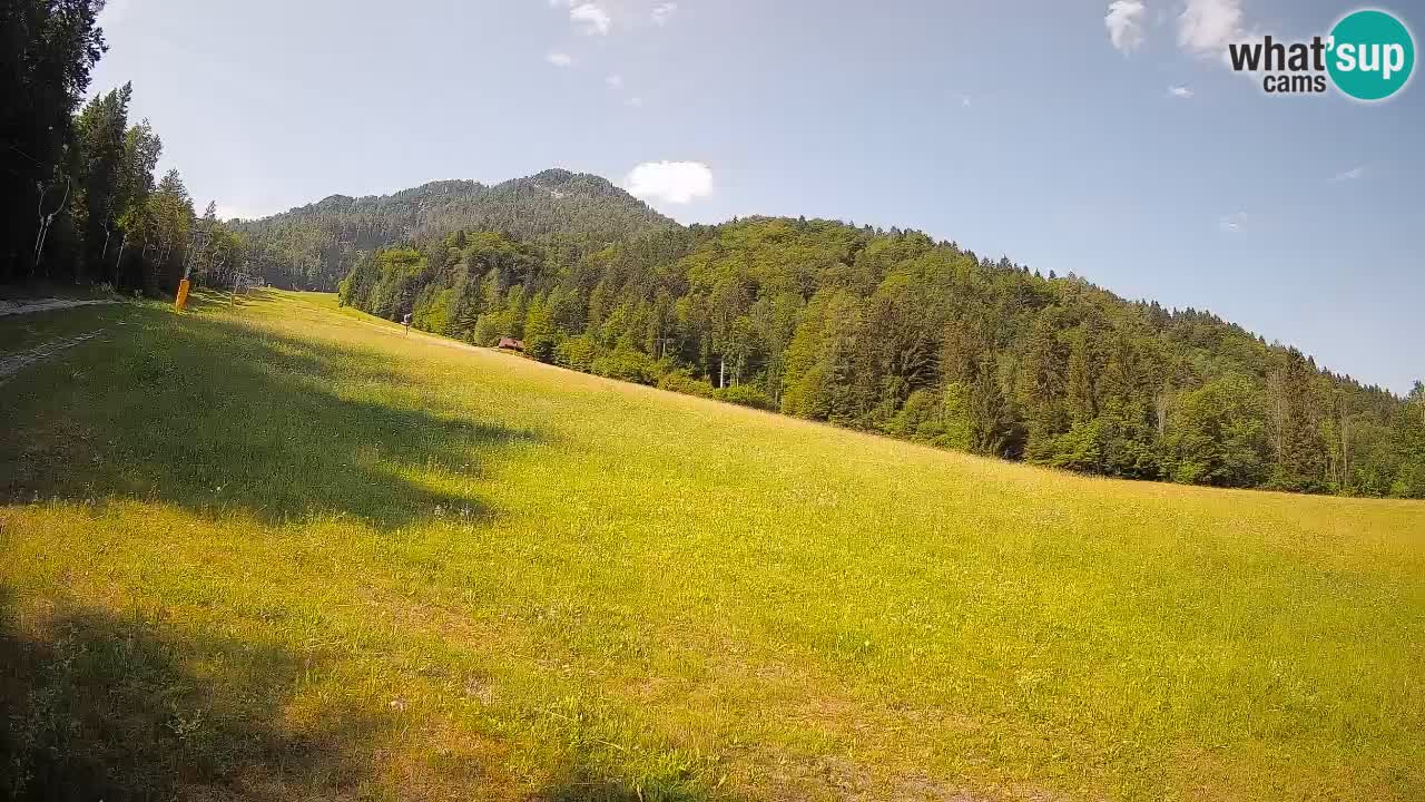 RTC Kranjska Gora | Brsnina