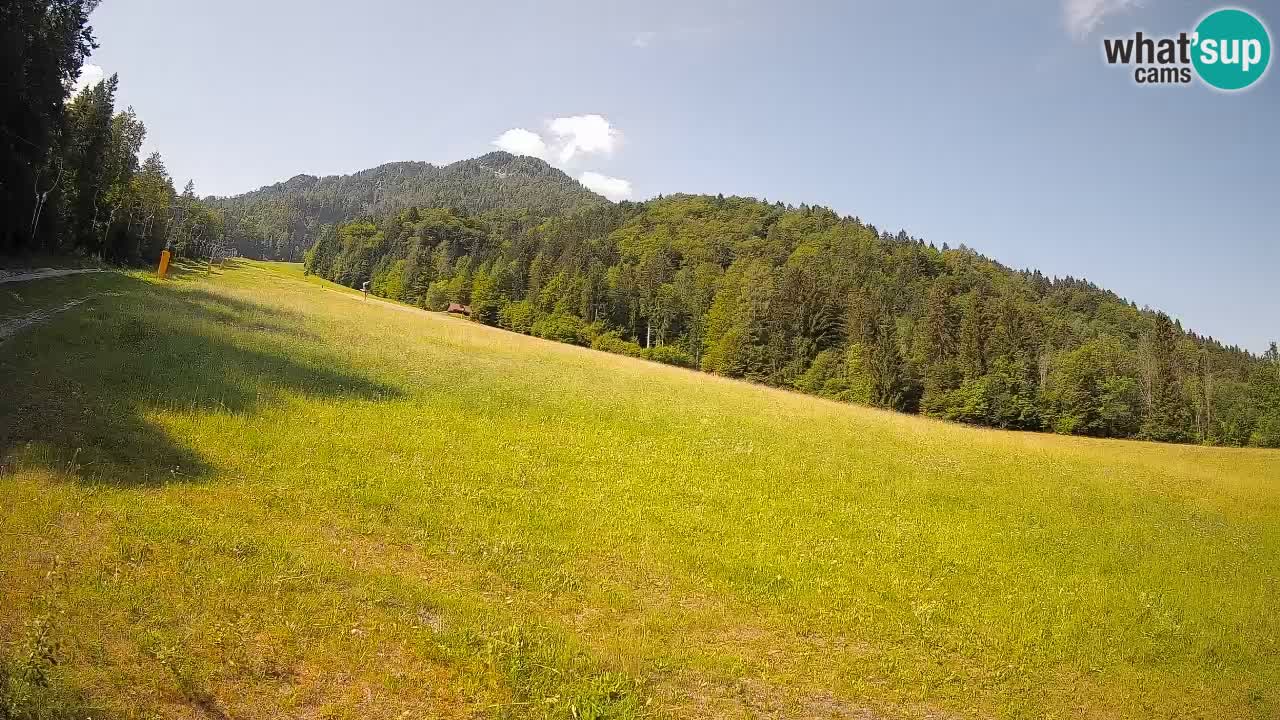 Ski Kranjska Gora | Brsnina