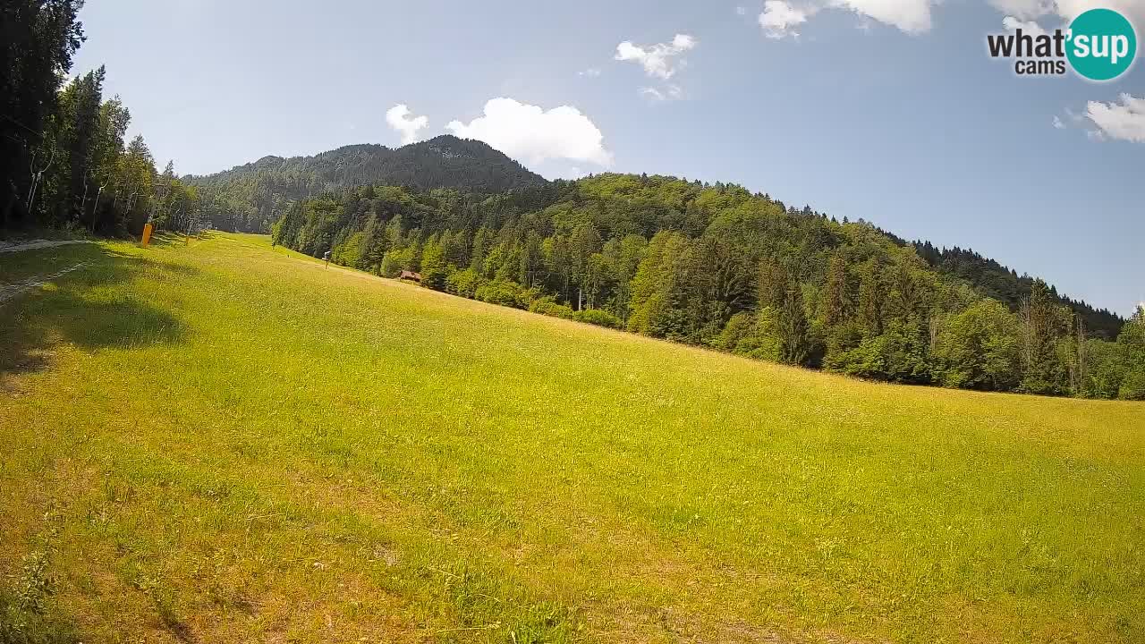Comprensorio sciistico Kranjska Gora | Brsnina