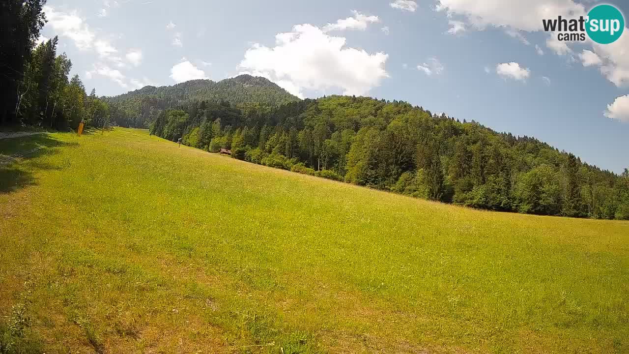 RTC Skigebiet Kranjska Gora | Brsnina