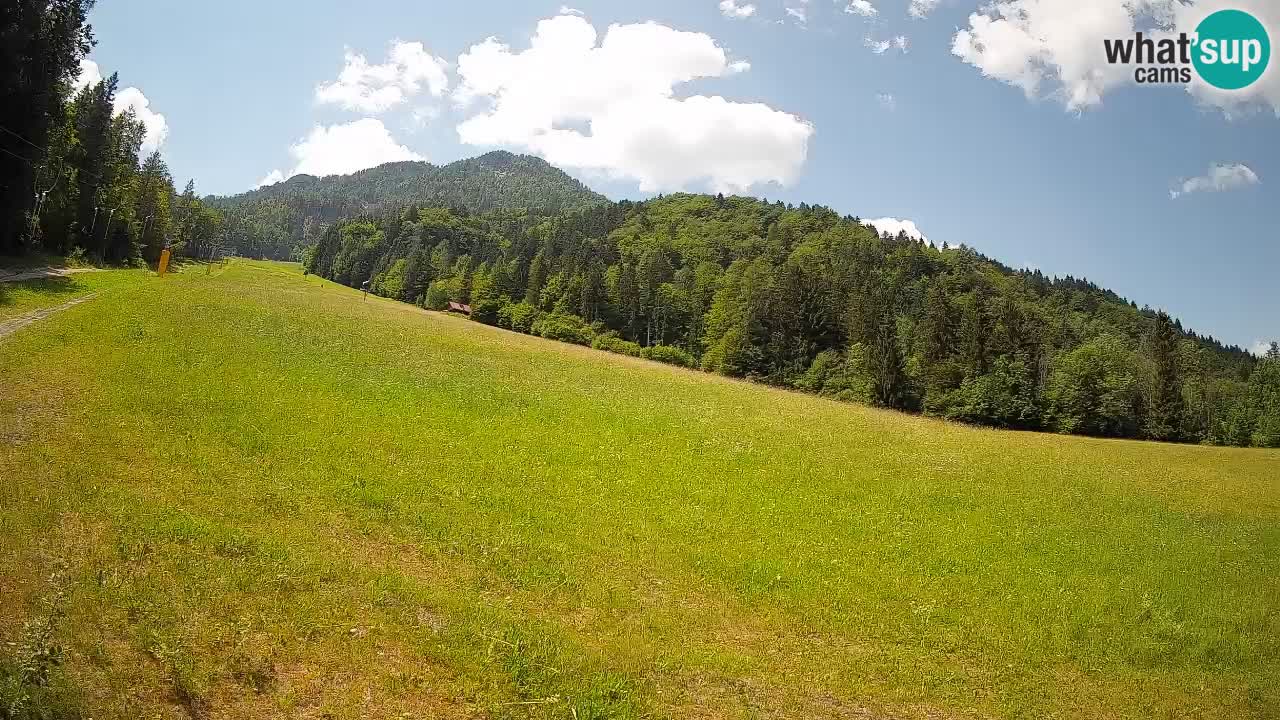Kranjska Gora Station de ski | Brsnina