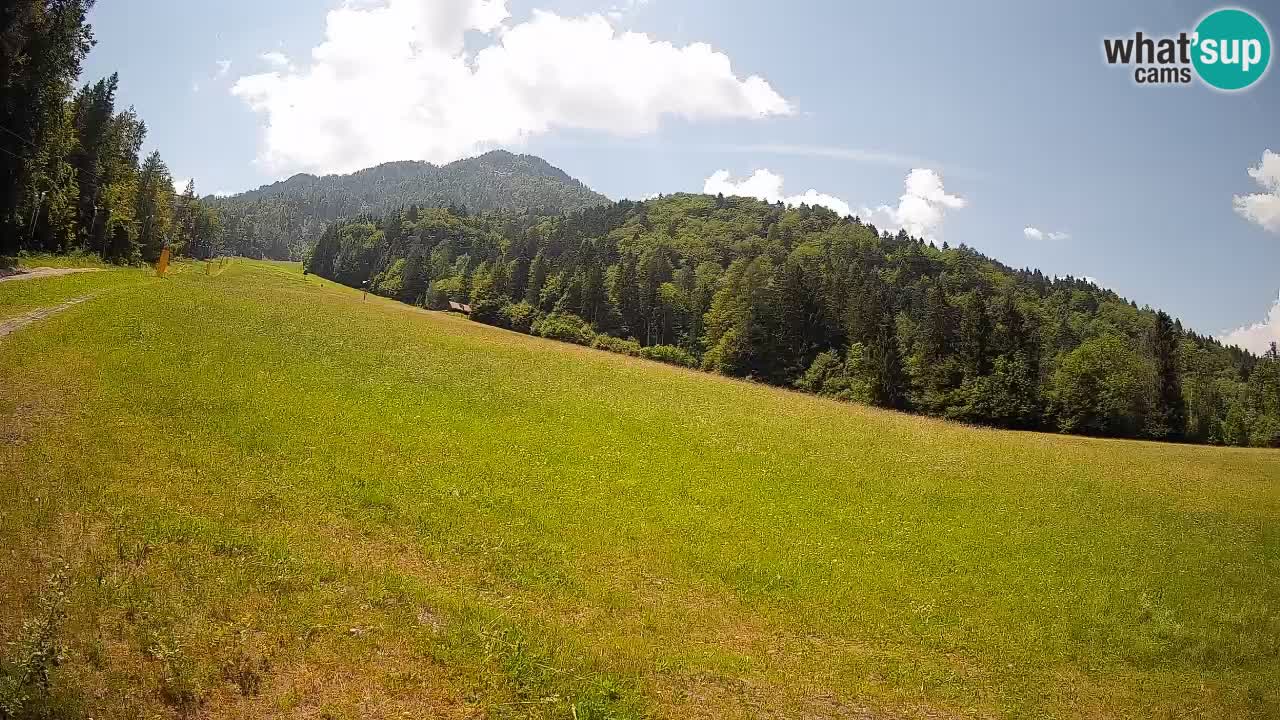 Kranjska Gora Station de ski | Brsnina