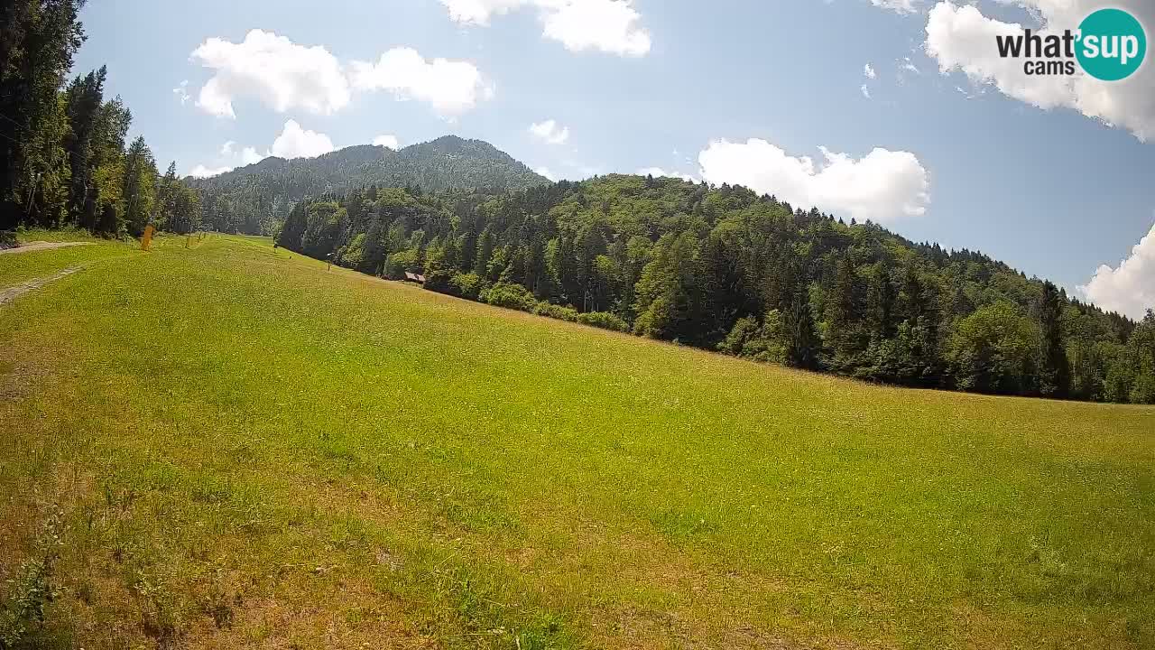 RTC Skigebiet Kranjska Gora | Brsnina