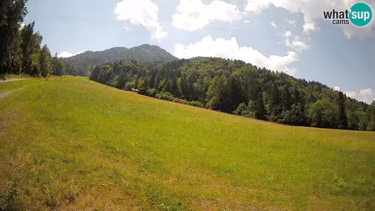 Kranjska Gora SKIJANJE | Brsnina