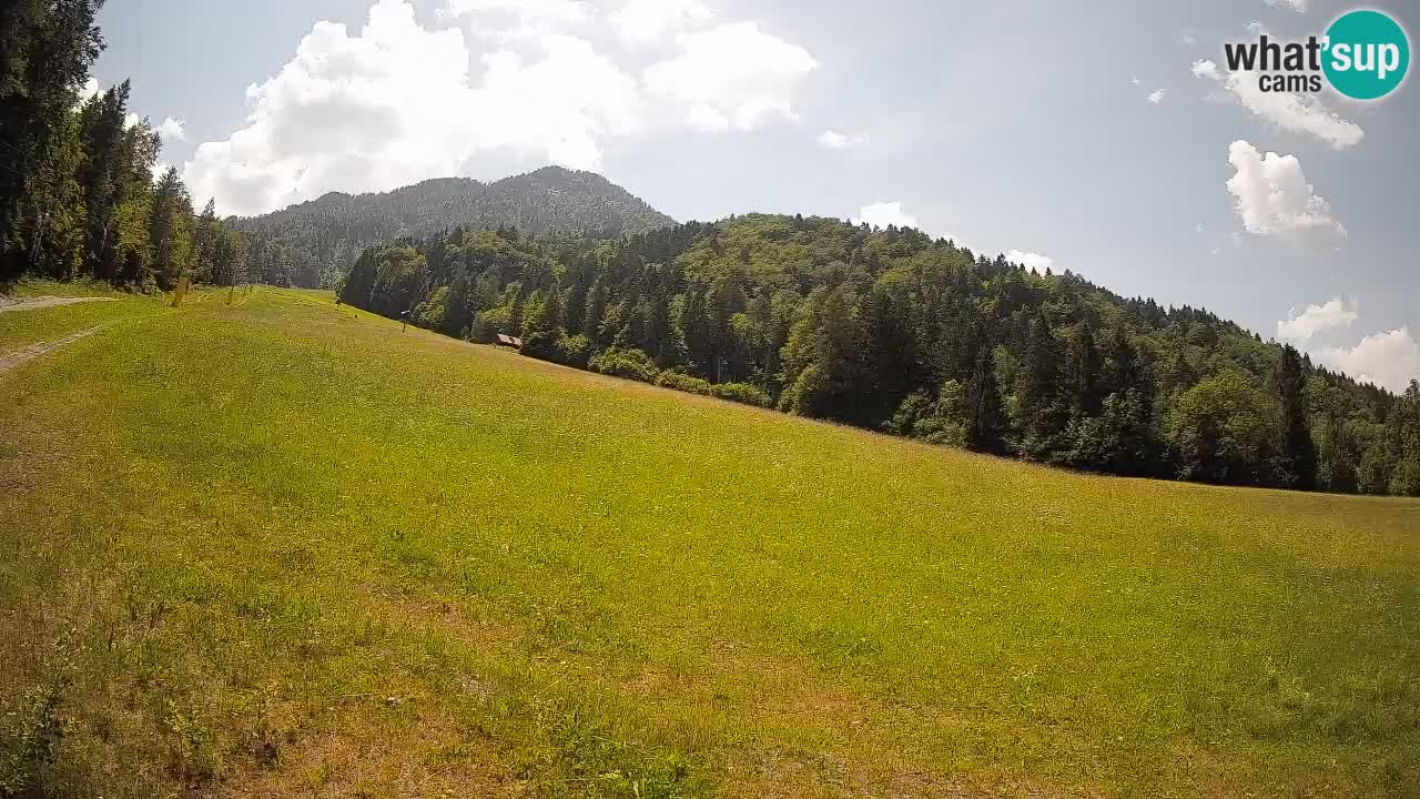 Kranjska Gora Station de ski | Brsnina