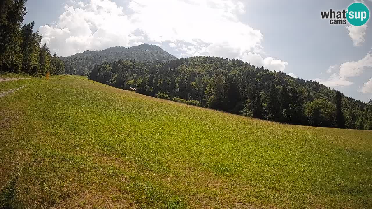 Kranjska Gora Station de ski | Brsnina