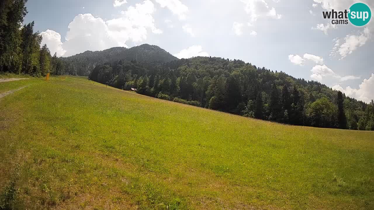 RTC Kranjska Gora | Brsnina