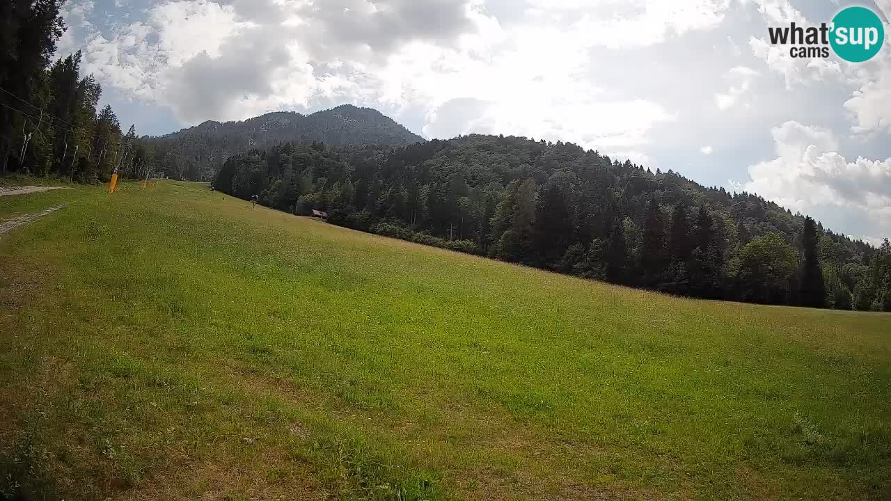 Kranjska Gora SKIJANJE | Brsnina