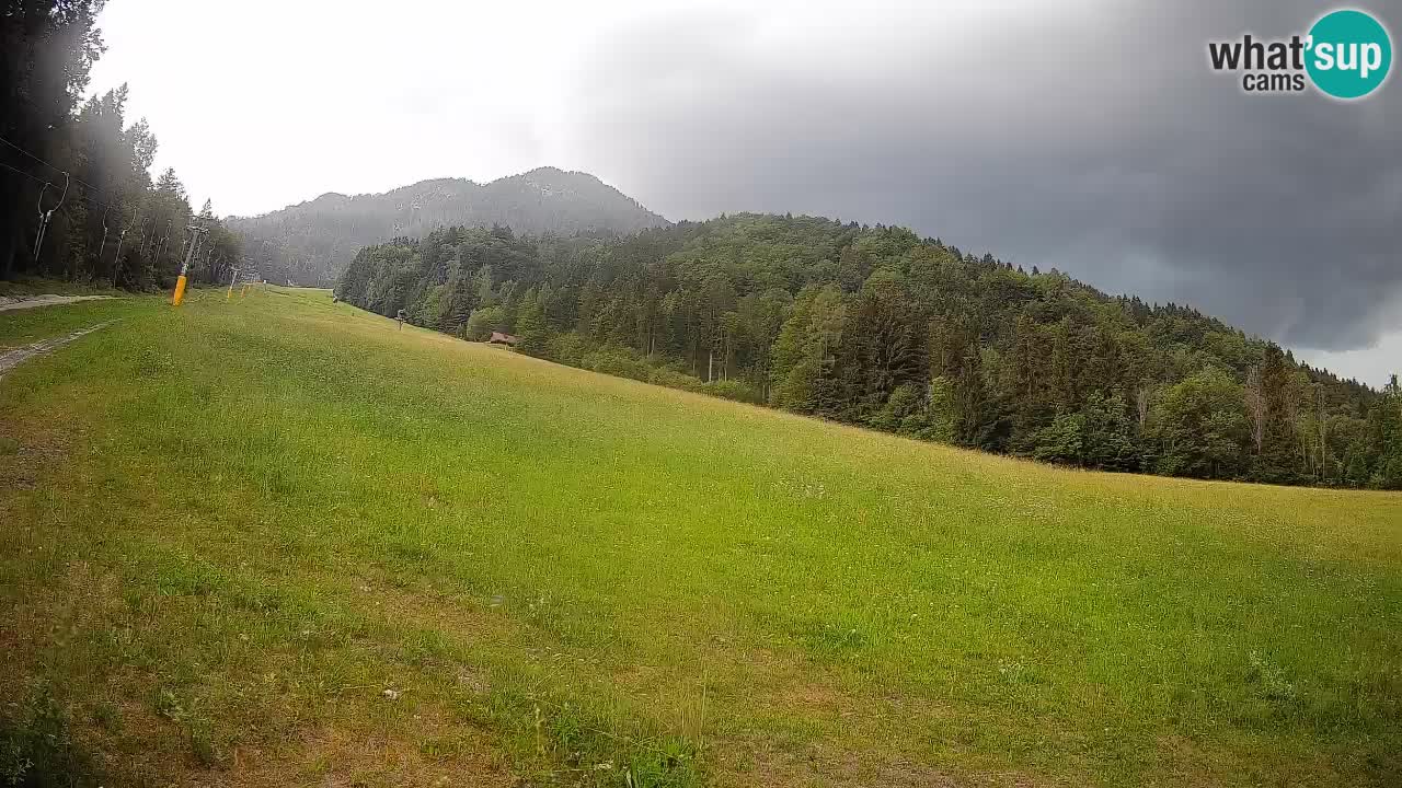 Esquí Kranjska Gora | Brsnina