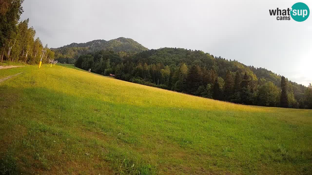 Ski Kranjska Gora | Brsnina