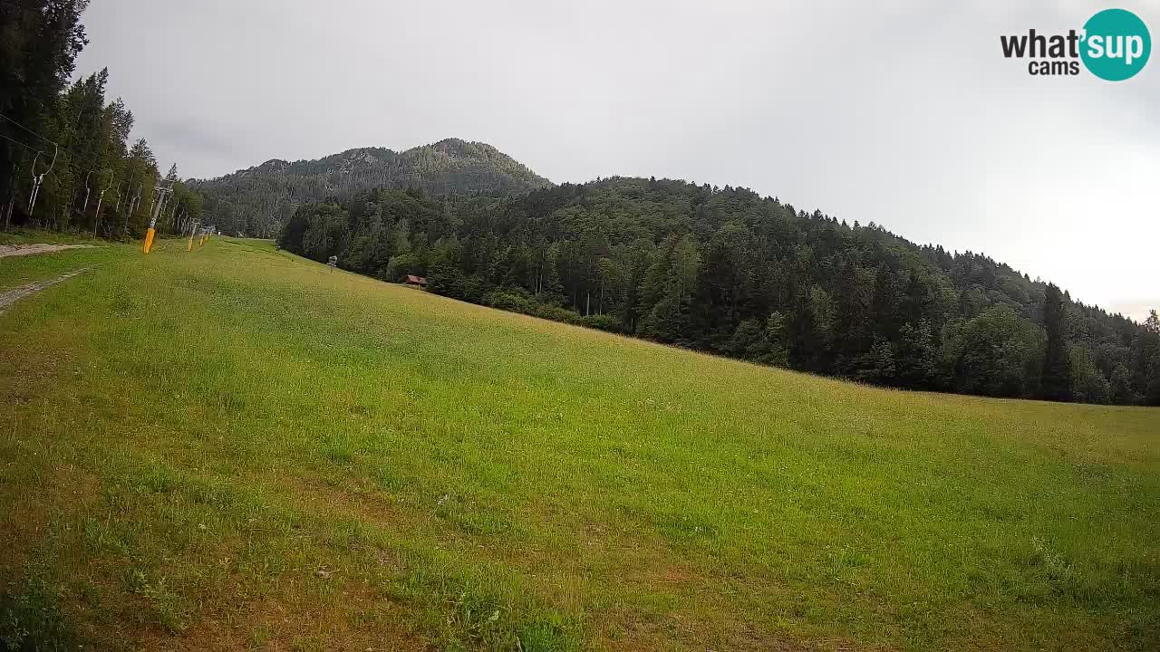 RTC Skigebiet Kranjska Gora | Brsnina