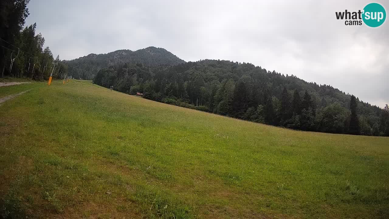 Ski Kranjska Gora | Brsnina