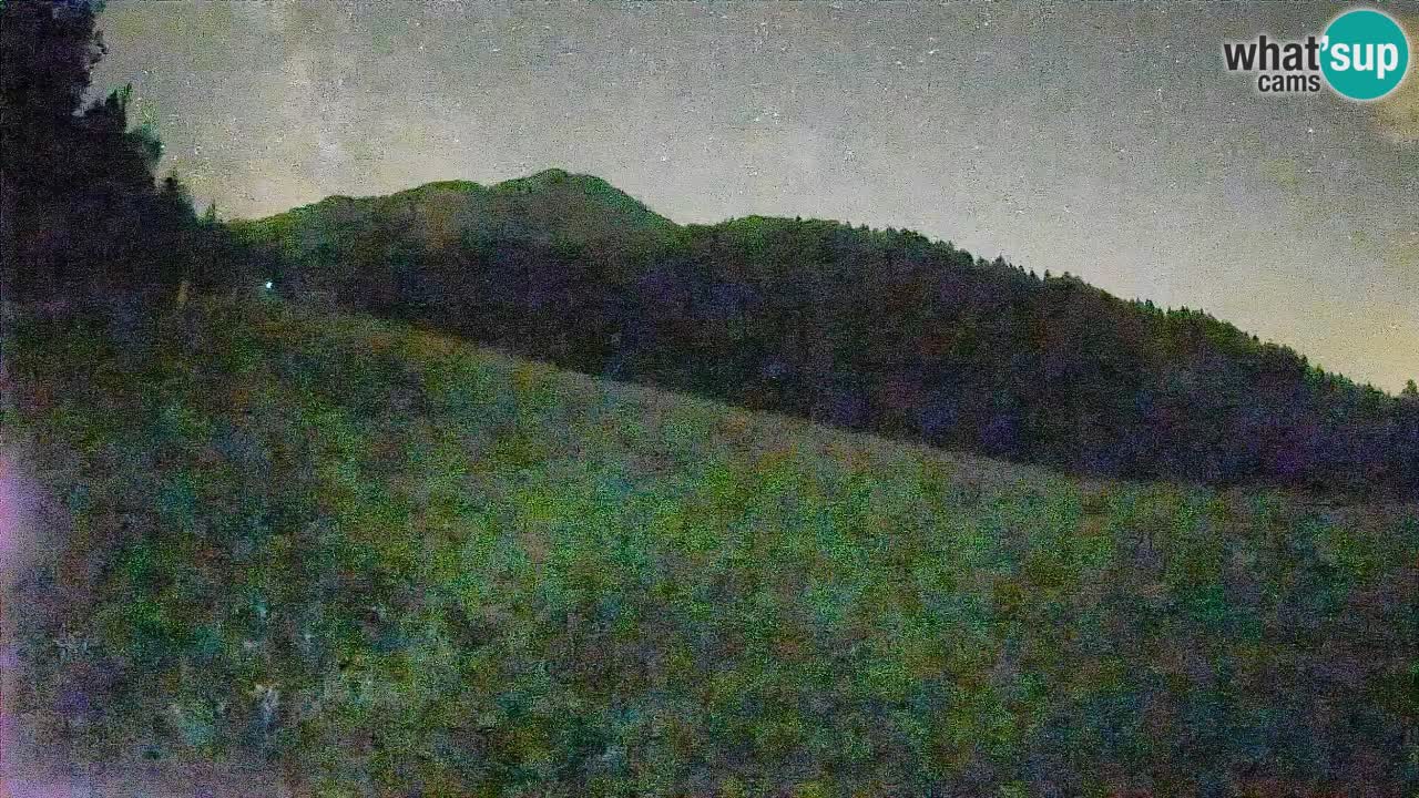 RTC Skigebiet Kranjska Gora | Brsnina