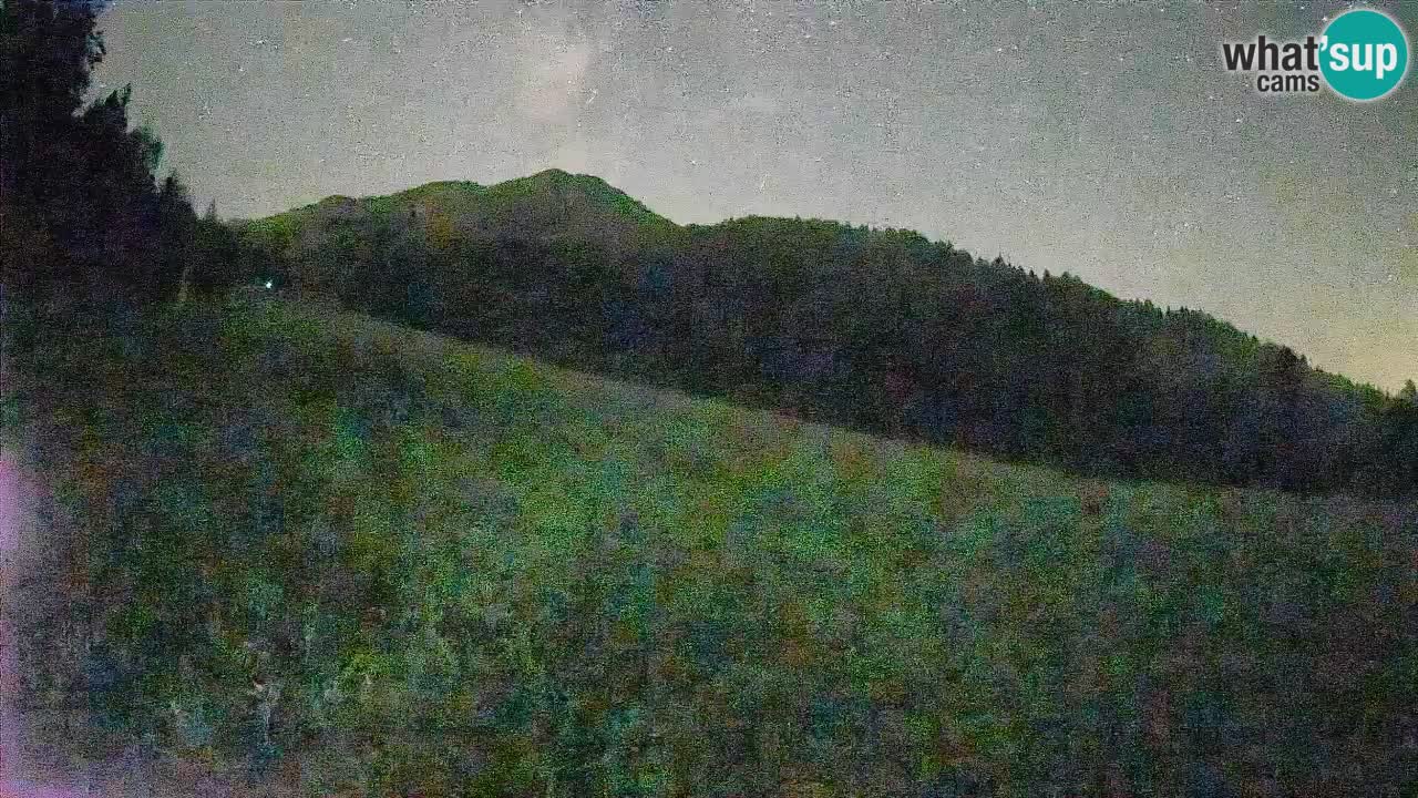 RTC Skigebiet Kranjska Gora | Brsnina